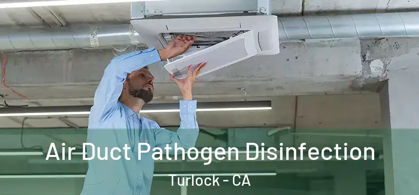  Air Duct Pathogen Disinfection Turlock - CA