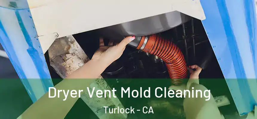Dryer Vent Mold Cleaning Turlock - CA
