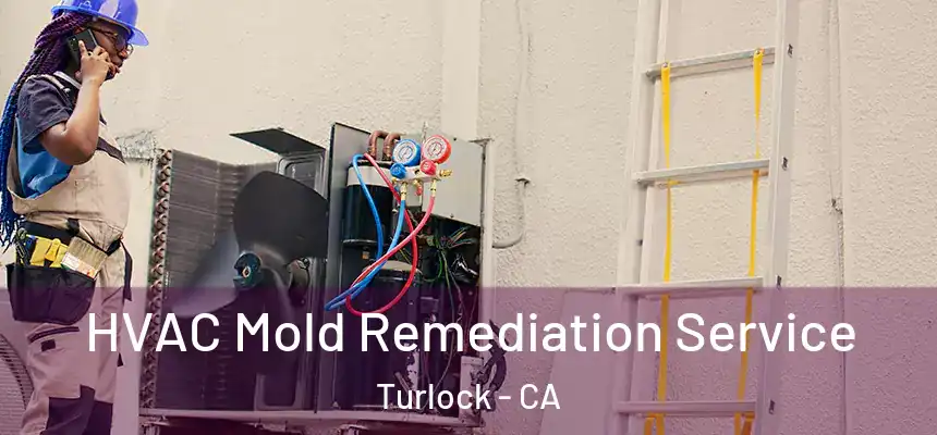 HVAC Mold Remediation Service Turlock - CA