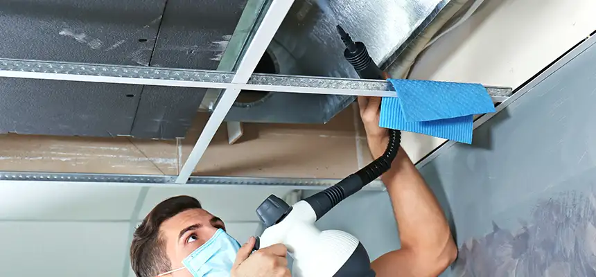 Our Air Duct Rodent Removal Services in Turlock, CA