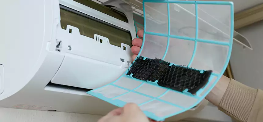 Gentle Ductwork Odor-Control Pet Dander Duct Cleaning in Turlock, CA