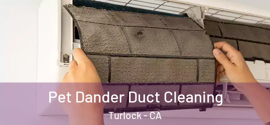 Pet Dander Duct Cleaning Turlock - CA