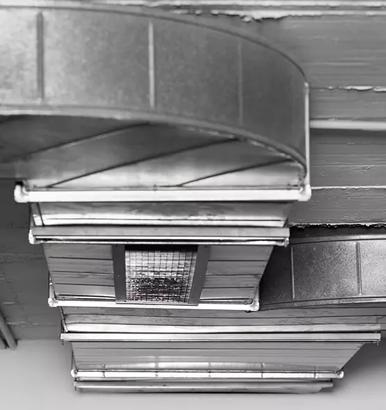 Professional Air Duct Pest Removal in Turlock, CA