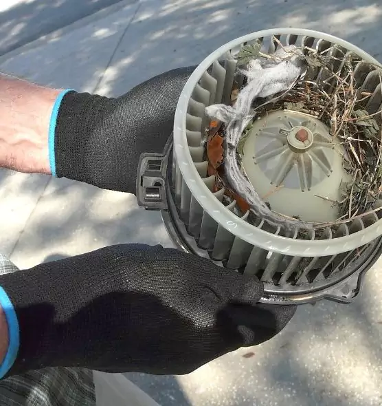 About Air Duct Rat Removal in Turlock, CA