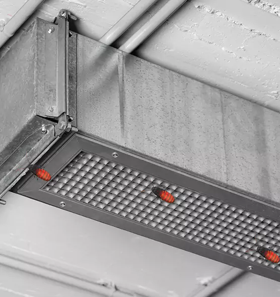 Affordable Insect Removal from Air Ducts in Turlock, CA
