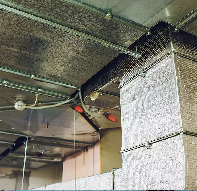 Why Homeowners & Businesses Trust Us in Turlock, CA?