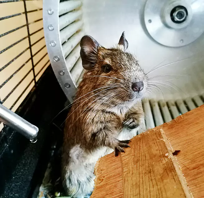 Why Homeowners & Businesses Trust Us Turlock, CA